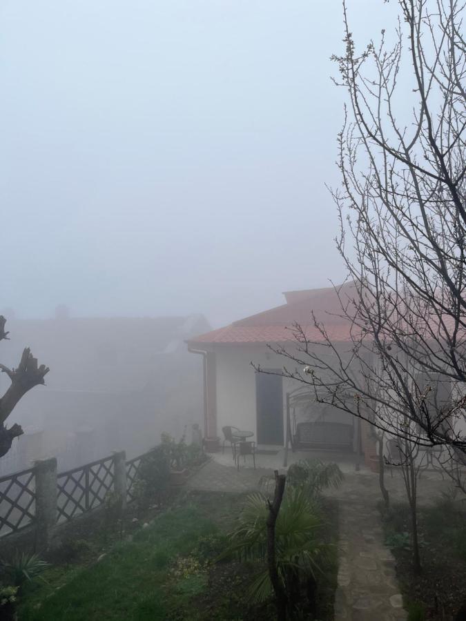 Ani-A Daire Siğnaği Dış mekan fotoğraf